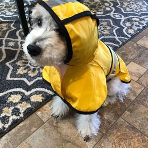 Meet your Posher, Lorie